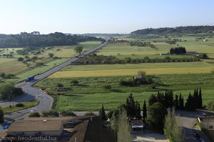 Landschaft nahe Manacor