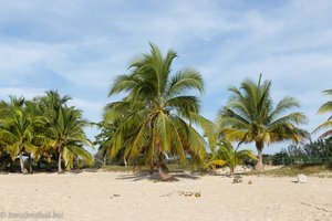 der Strand von Playa Larga