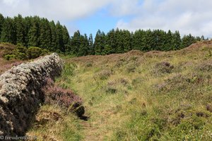 Eine der Mauern, die wir bei der Wanderung überqueren mussten.