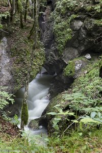 Und wieder in der Mostnica Gorge