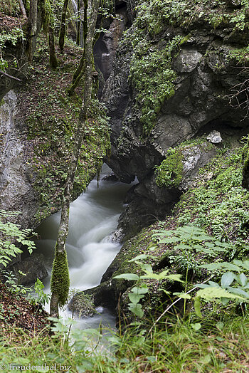 Und wieder in der Mostnica Gorge