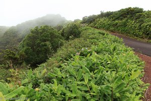 Kraterrand des Cabeco Verde