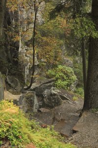 Steiniger Aufstieg in der Burkhardklamm.