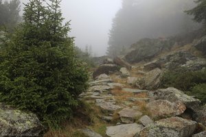 Auch der Abstieg von der Burkhardklamm ist steinig.