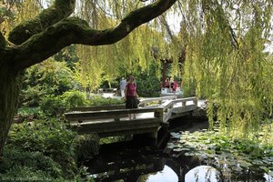 Teiche und Brücken im Sun Yat-Sen Park