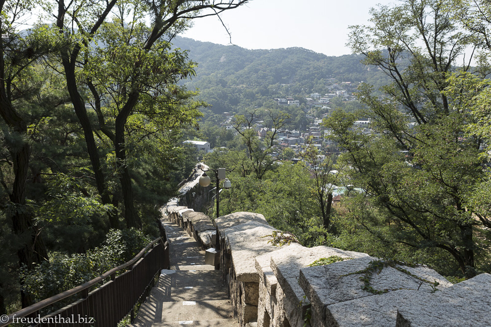 Blick über die von Bäumen und Sträuchern umgebene Stadtmauer von Seoul in Südkorea