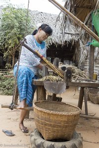 Die Hausfrau häckselt Bambus für Tierfutter.