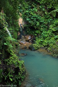 Blick zum Badebecken in der Caldeira Velha