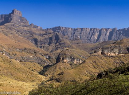 Drakensberge