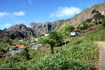Machado