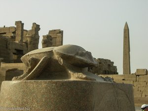 Glückskäfer - ein Skarabäus im Karnak-Tempel