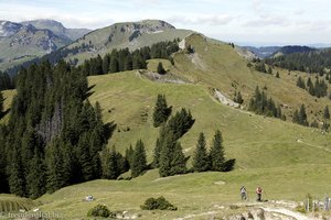 Wanderweg vom First auf den Flügenspitz