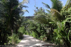 die letzten Meter vor dem Strand