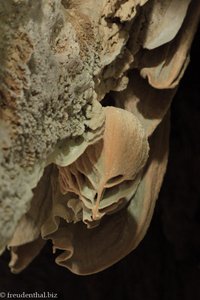 Alienkopf in der Korallenhöhle am Chiew-Lan-See