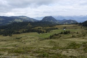 Aussicht vom Piesenkopf auf den Besler
