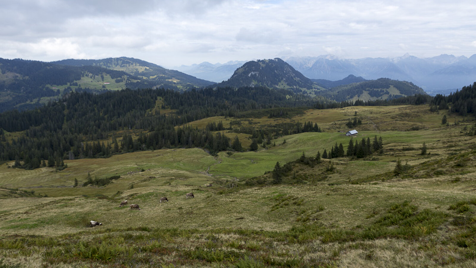 Aussicht vom Piesenkopf zum Besler im Naturpark Nagelfluhkette
