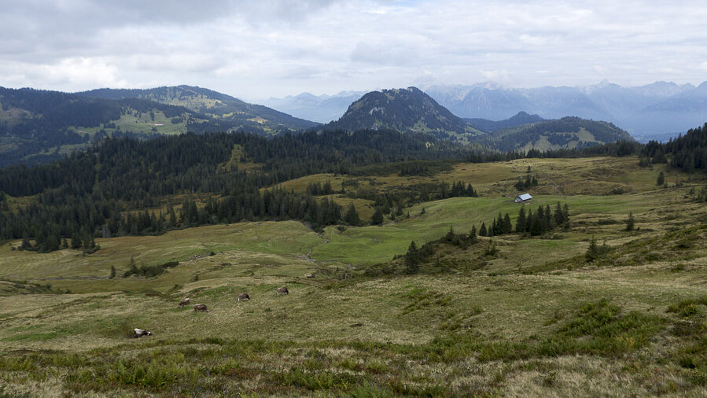 Aussicht vom Piesenkopf zum Besler