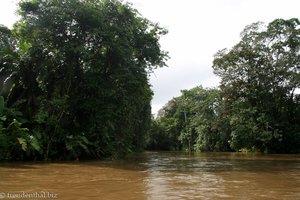 Fahrt durch die Kanallandschaft in Richtung Guapiles