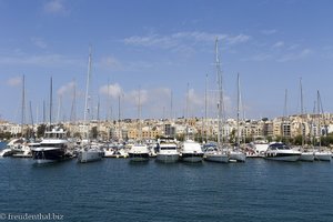 Yachthafen im Marsamxett Harbour