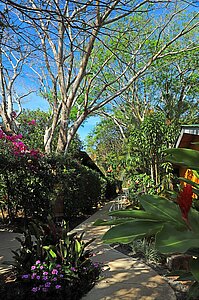 Gartenanlage der Rinconcito Lodge