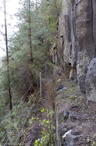 Verwachsener Pfad entlang der Levada