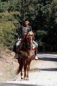 ein Reiter (was sonst?) im Nationalpark Ifrane