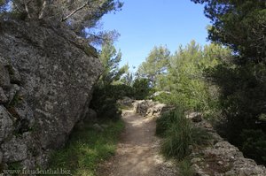 Camí de Castello bei Deia