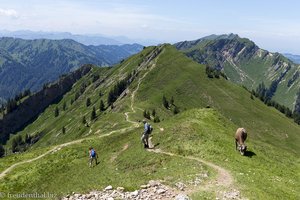 Beim Sederer Stuiben in der Nagelfluhkette