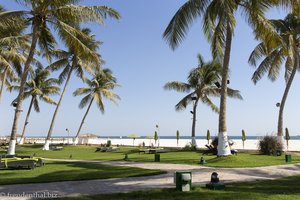 ein letzter Tag im Garten des Hilton Salalah im Oman