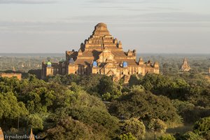 die Dhammayan Gyi Pagode von Bagan