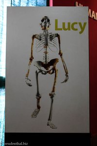Lucy-Schild im Nationalmuseum von Addis Abeba