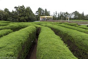 Irgendwie kommt doch jeder zur Glocke im Kimnyoung Maze Park Labyrinth