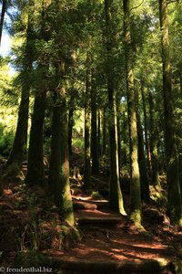 Wanderweg an den Lagoa Canario