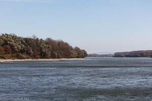 Donau östlich von Wien