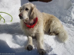 »falls das Iglu einbricht, buddel ich euch aus - oder ich hole Hilfe ...«