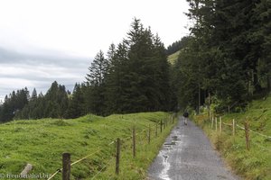 Wanderweg von Kaltbad nach First