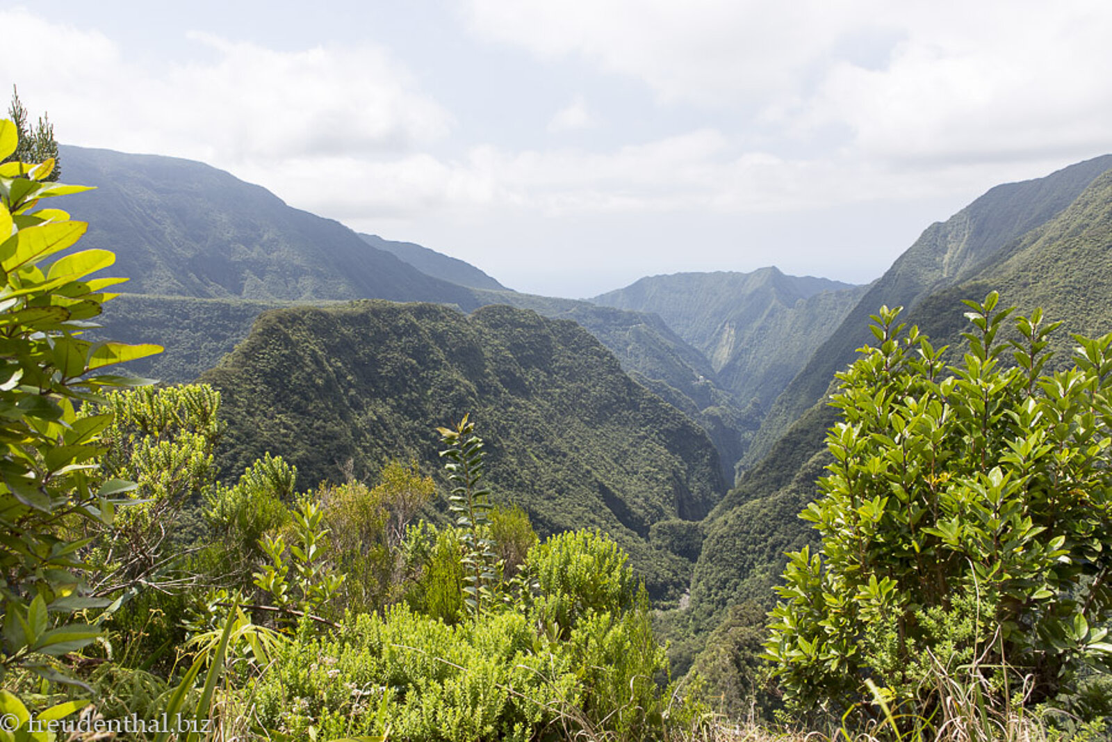 Blick von der Aussichtskanzel der Cassé de Takamaka über eine dicht bewaldete Schlucht auf der Insel La Réunion