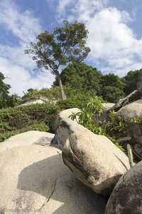 Felsen wie auf den Seychellen - Tayrona Nationalpark.