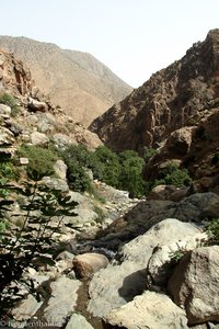 Blick über die Schlucht des Ourika