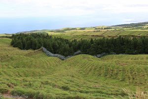 Blick vom Pico da Cruz zur Nordküste von Sao Miguel