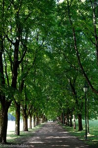 Allee im Frognerparken - Vigelandspaken