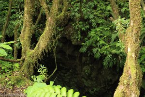 Furna Ruim - Eine eingestürzte Lavahöhle