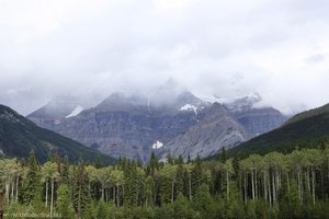 Mount Robson