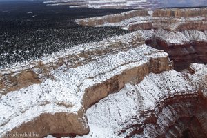 verschneiter Grand Canyon im Winter