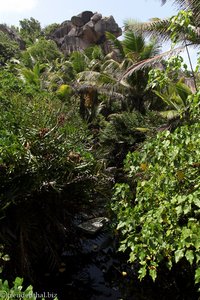 hier geht es zu den Stränden der Anse Cocos und Caiman