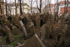 auf dem Alten Jüdischen Friedhof von Prag