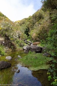 Ribeira do Alecrim