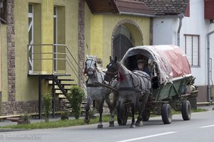 Pferdefuhrwerk in Dorf der Störche Grossau