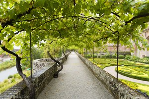 Weinrankengang beim Barockgarten von Albi