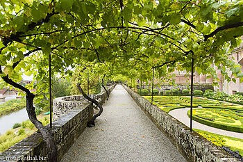 Weinrankengang beim Barockgarten von Albi